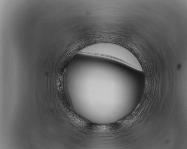 X0000096140237200801180859