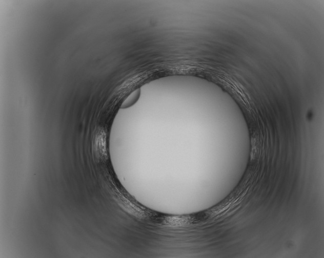 X0000096140238200801180859