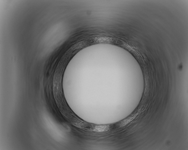 X0000096140240200801180859