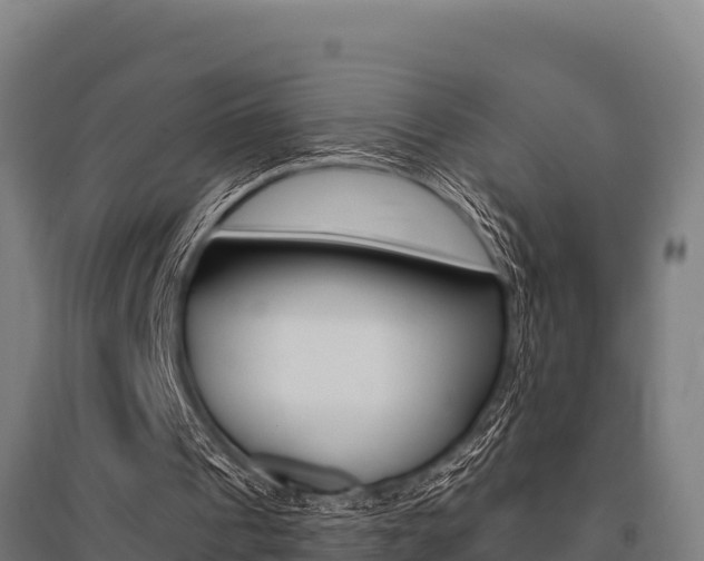X0000096140241200801180858