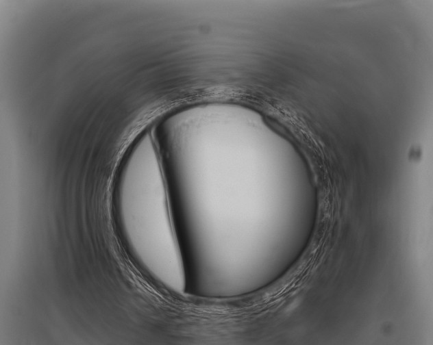X0000096140242200801180858