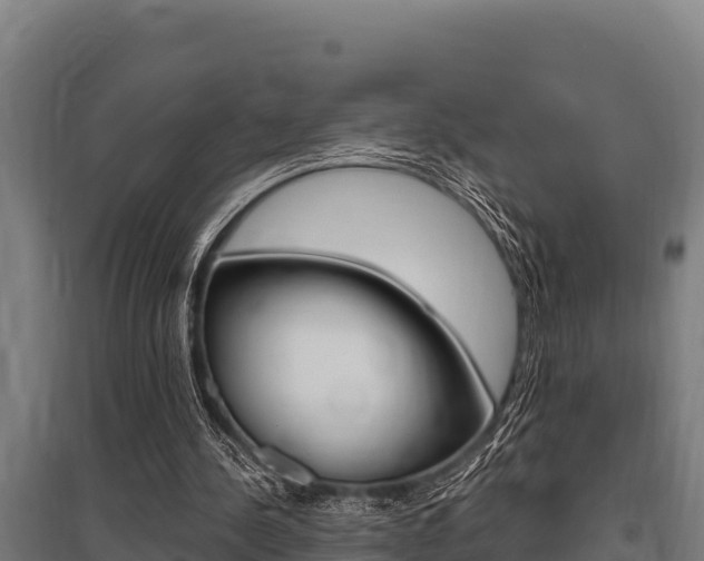 X0000096140244200801180858