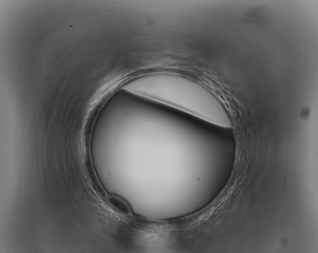 X0000096140245200801180858