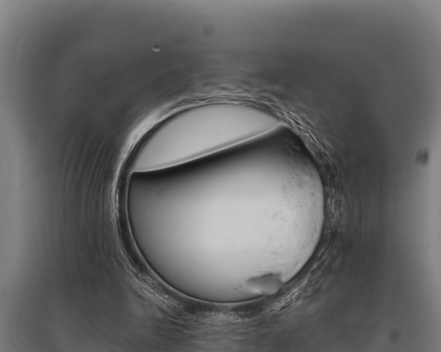 X0000096140246200801180858