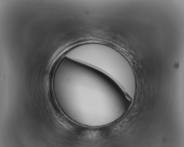 X0000096140247200801180858