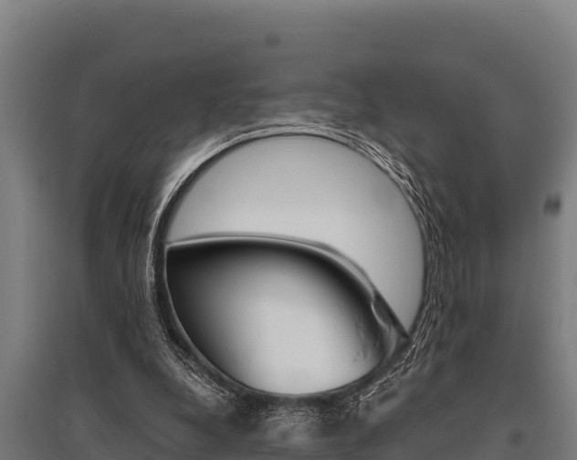 X0000096140248200801180858