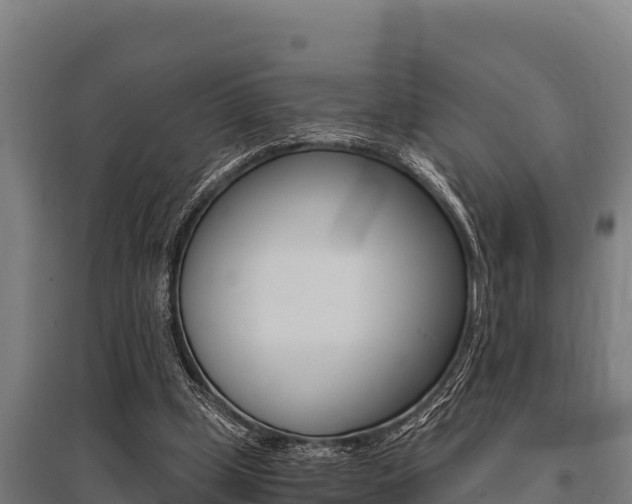 X0000096140249200801180858