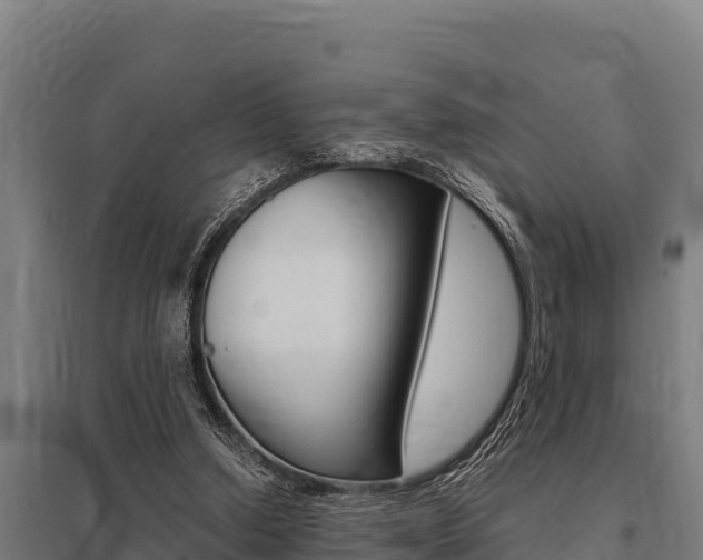 X0000096140250200801180858