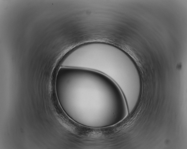 X0000096140252200801180858