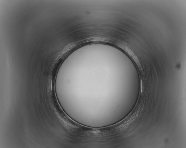 X0000096140253200801180858