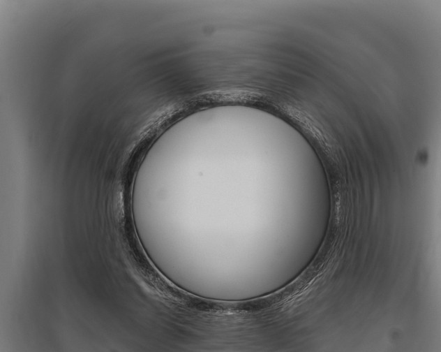X0000096140254200801180858
