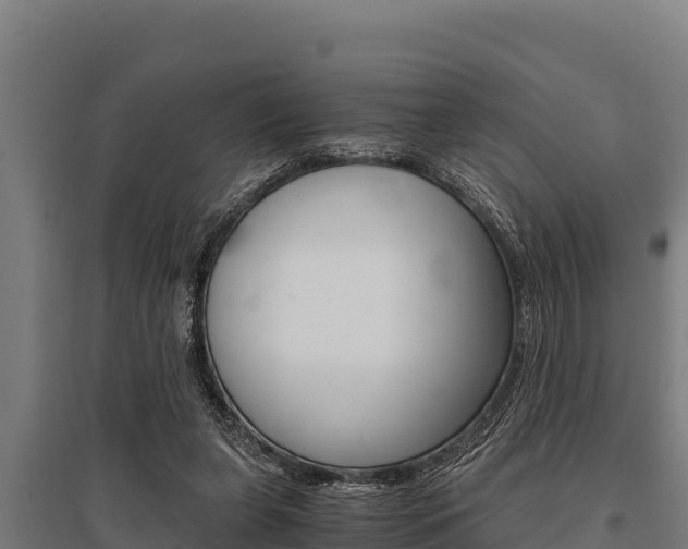 X0000096140255200801180858