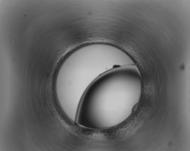 X0000096140256200801180858