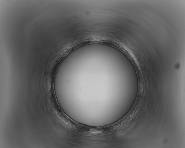 X0000096140257200801180858
