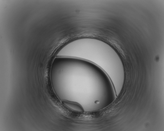 X0000096140260200801180858
