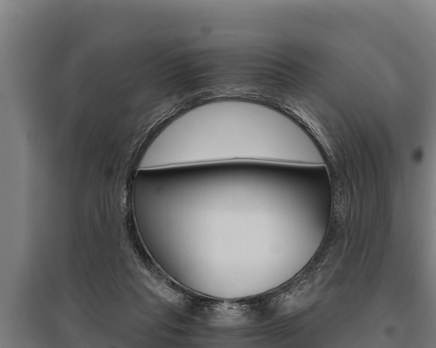 X0000096140261200801180858