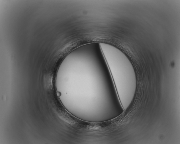 X0000096140262200801180858