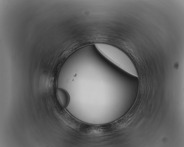 X0000096140263200801180858