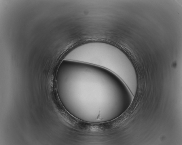 X0000096140264200801180858