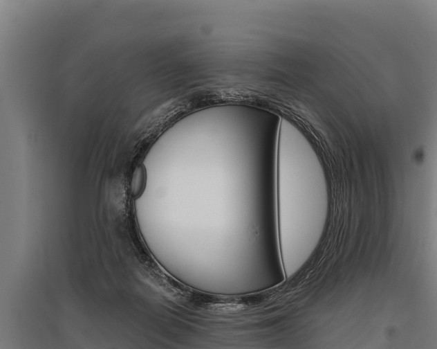 X0000096140266200801180858