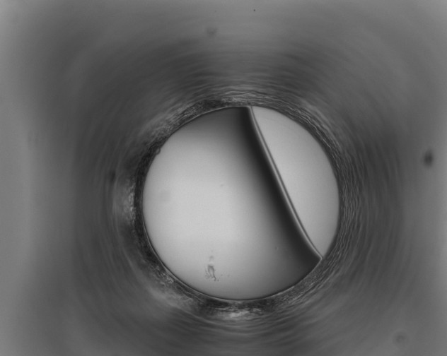 X0000096140267200801180858