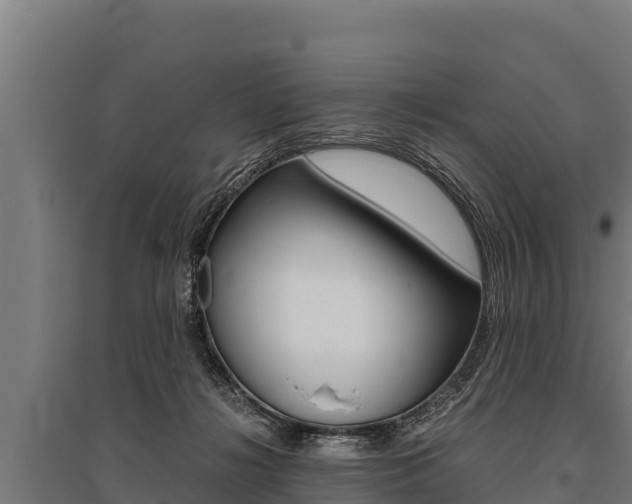 X0000096140268200801180858
