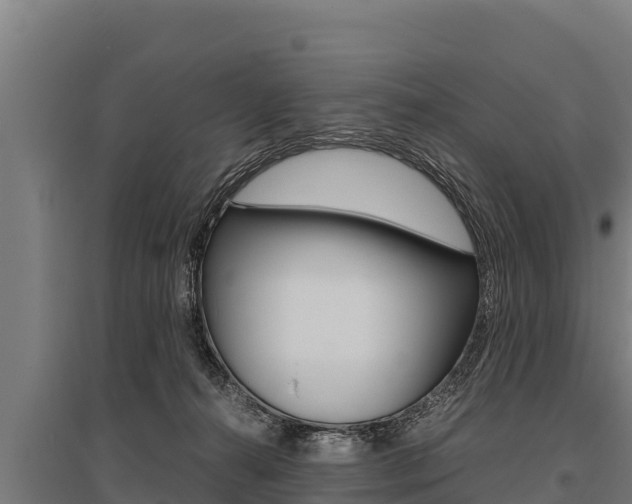 X0000096140272200801180858