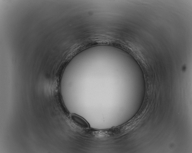 X0000096140273200801180858