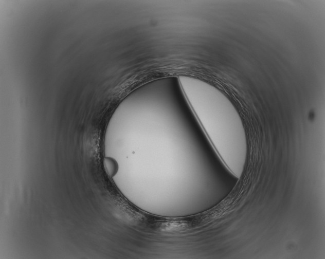 X0000096140274200801180858