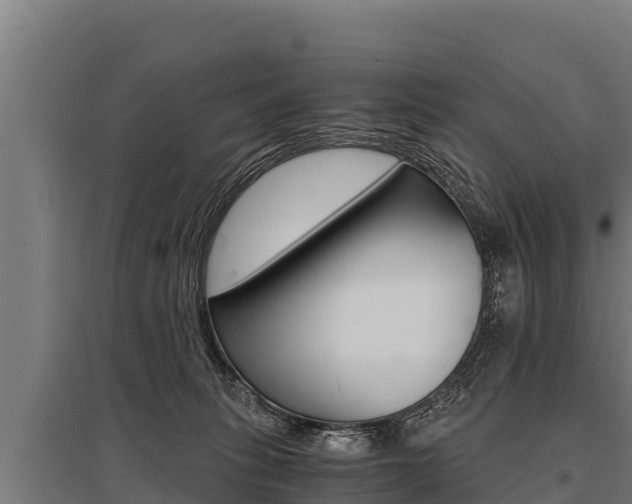 X0000096140275200801180858