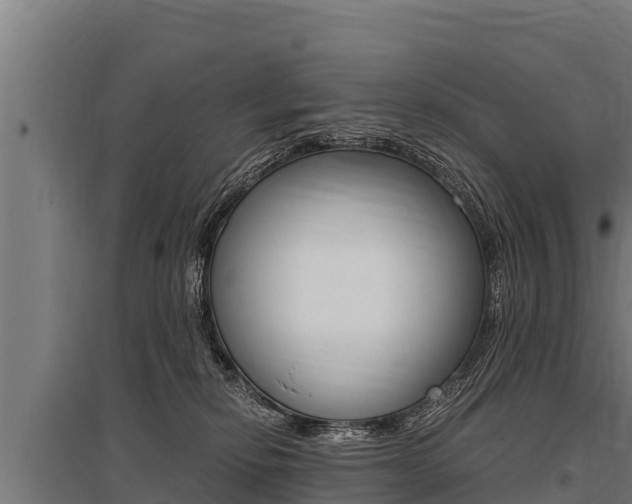 X0000096140278200801180858