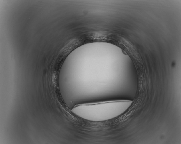 X0000096140281200801180858