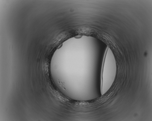 X0000096140282200801180858