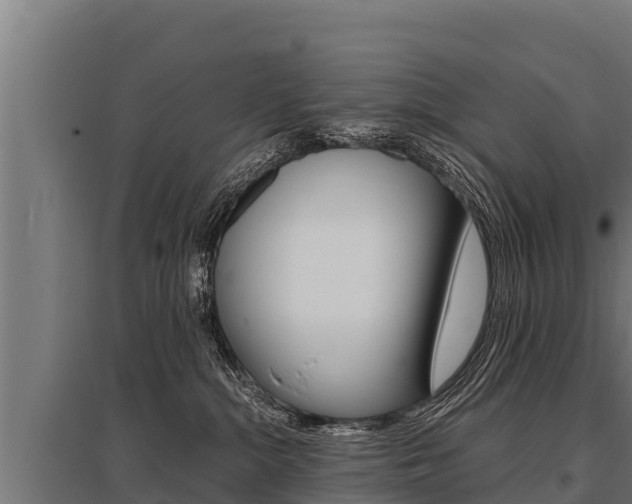 X0000096140284200801180859