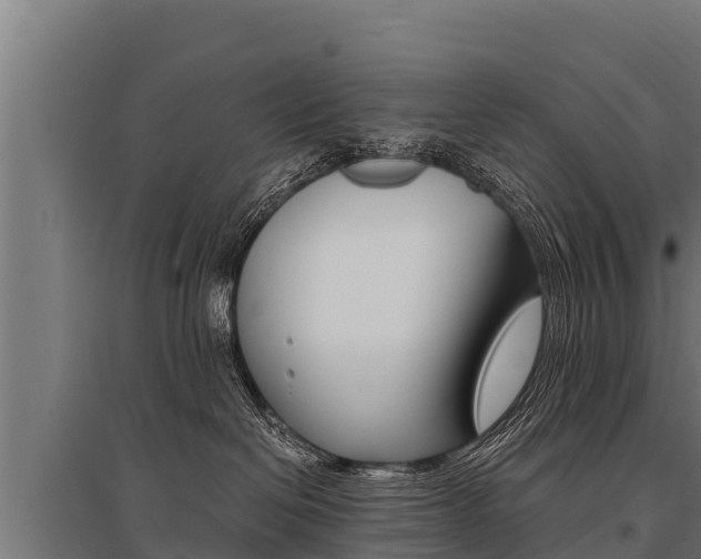 X0000096140286200801180859
