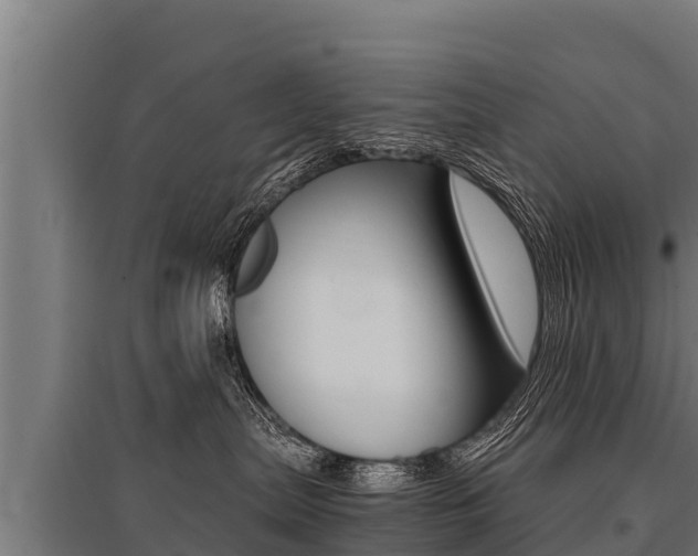 X0000096140287200801180859