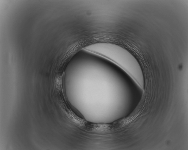 X0000096140288200801180859