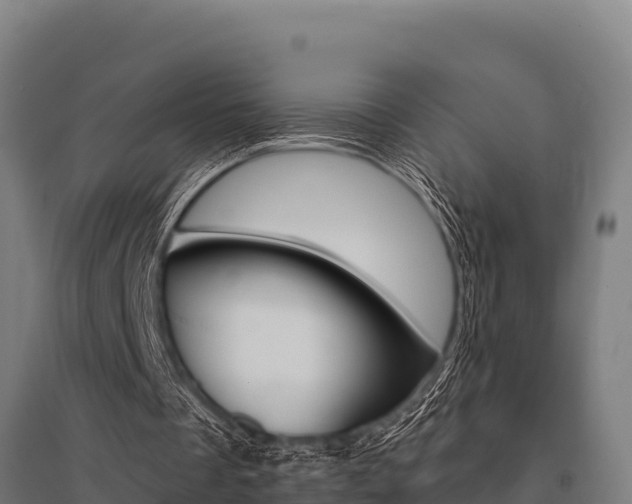X0000096140289200801180858