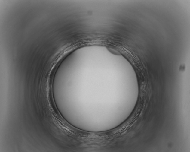 X0000096140290200801180858