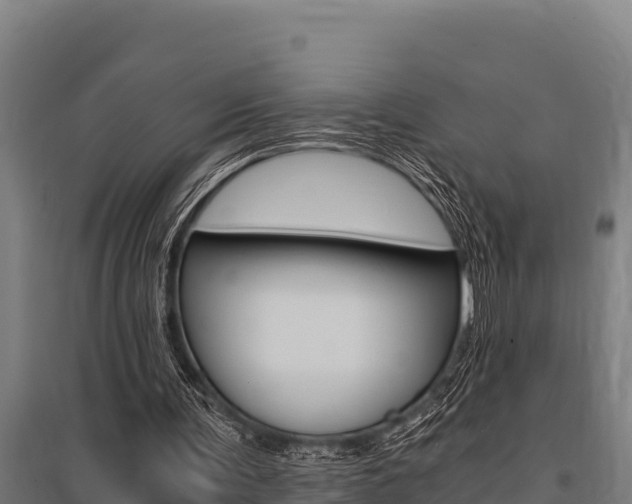 X0000096140291200801180858