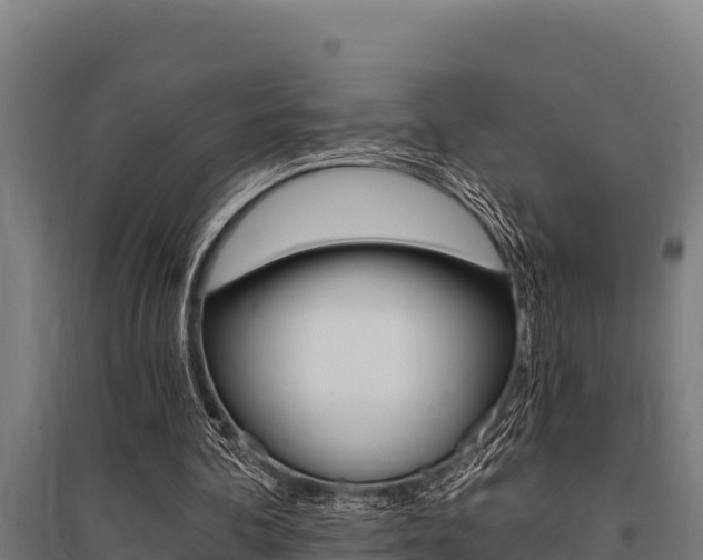 X0000096140292200801180858
