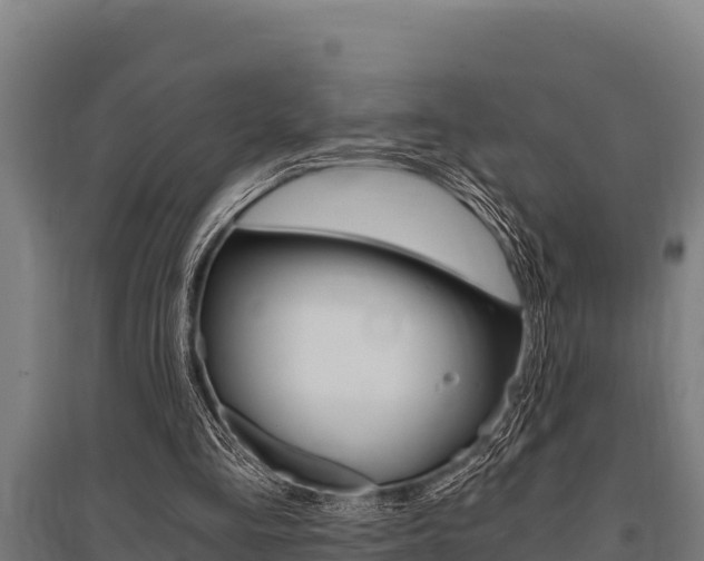 X0000096140293200801180858
