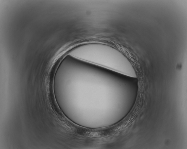 X0000096140295200801180858