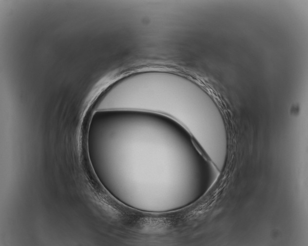 X0000096140296200801180858