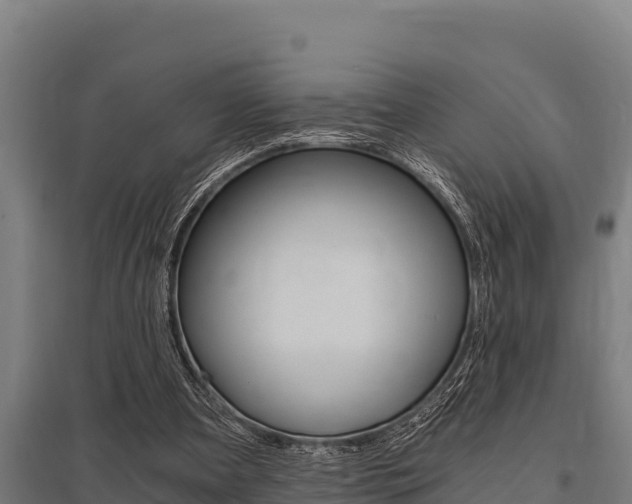 X0000096140297200801180858