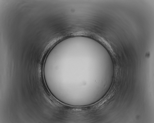 X0000096140298200801180858