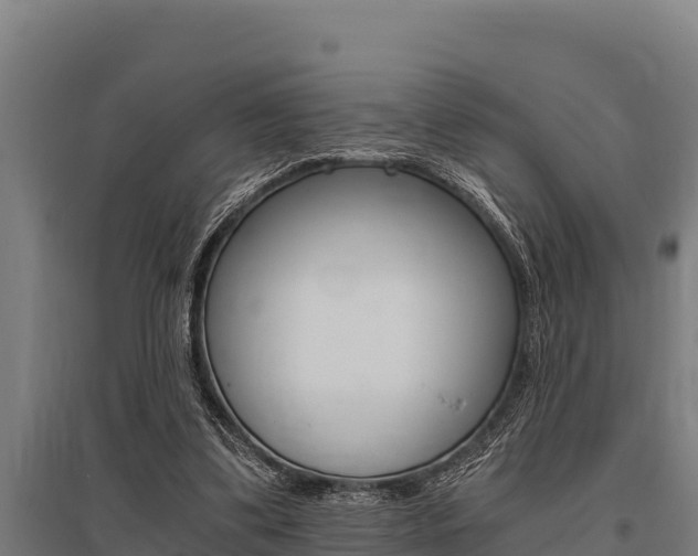 X0000096140299200801180858