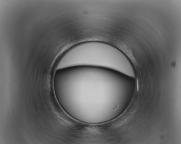 X0000096140300200801180858