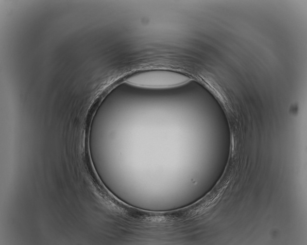 X0000096140301200801180858