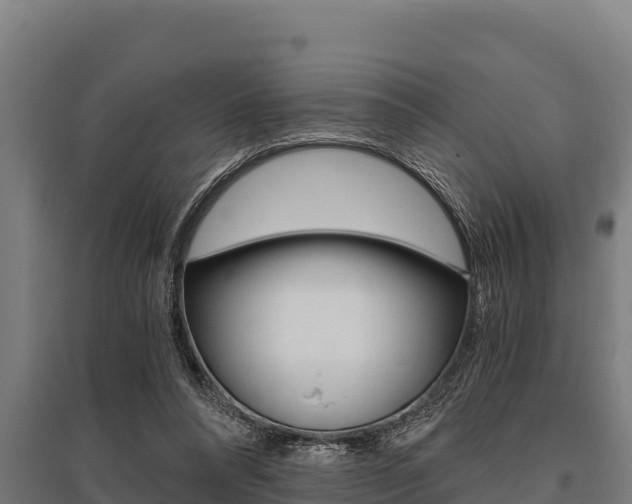 X0000096140304200801180858